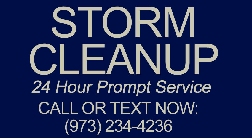 STORM CLEANUP